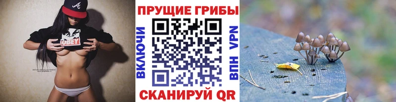Псилоцибиновые грибы MAGIC MUSHROOMS  Кулебаки 